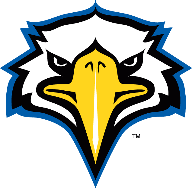 Morehead State Eagles 2005-Pres Secondary Logo v2 iron on transfers for T-shirts